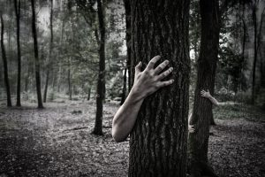 hands-in-the-forest